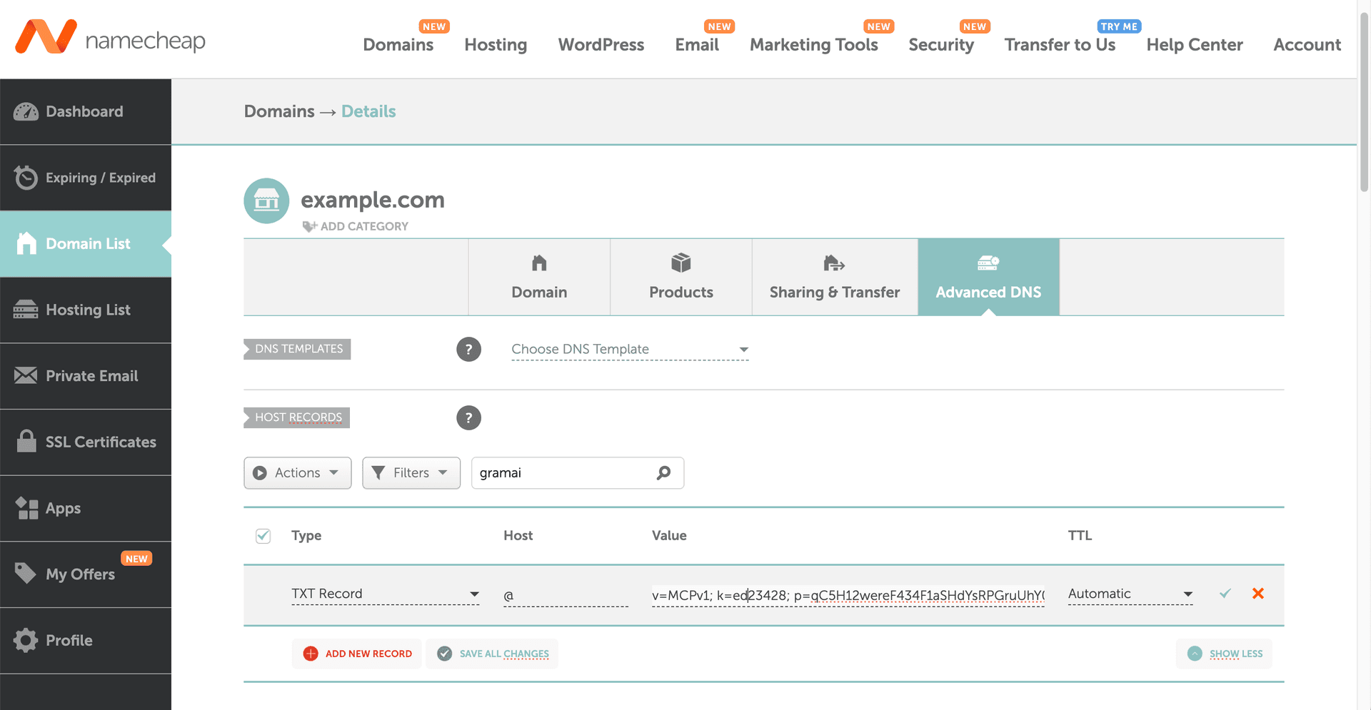 Namecheap - adding a DNS TXT record